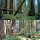 Illustration for article titled 36 years later, iReturn Of The Jedi/is Tatooine and Endor filming locations remain mostly unchanged